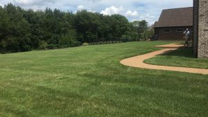 A beautiful green space using lawn and garden care to stay fresh