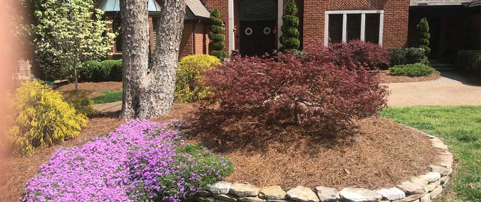 landscape bed native plants and mulch
