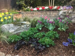 A beautiful garden with a stone retaining wall.
