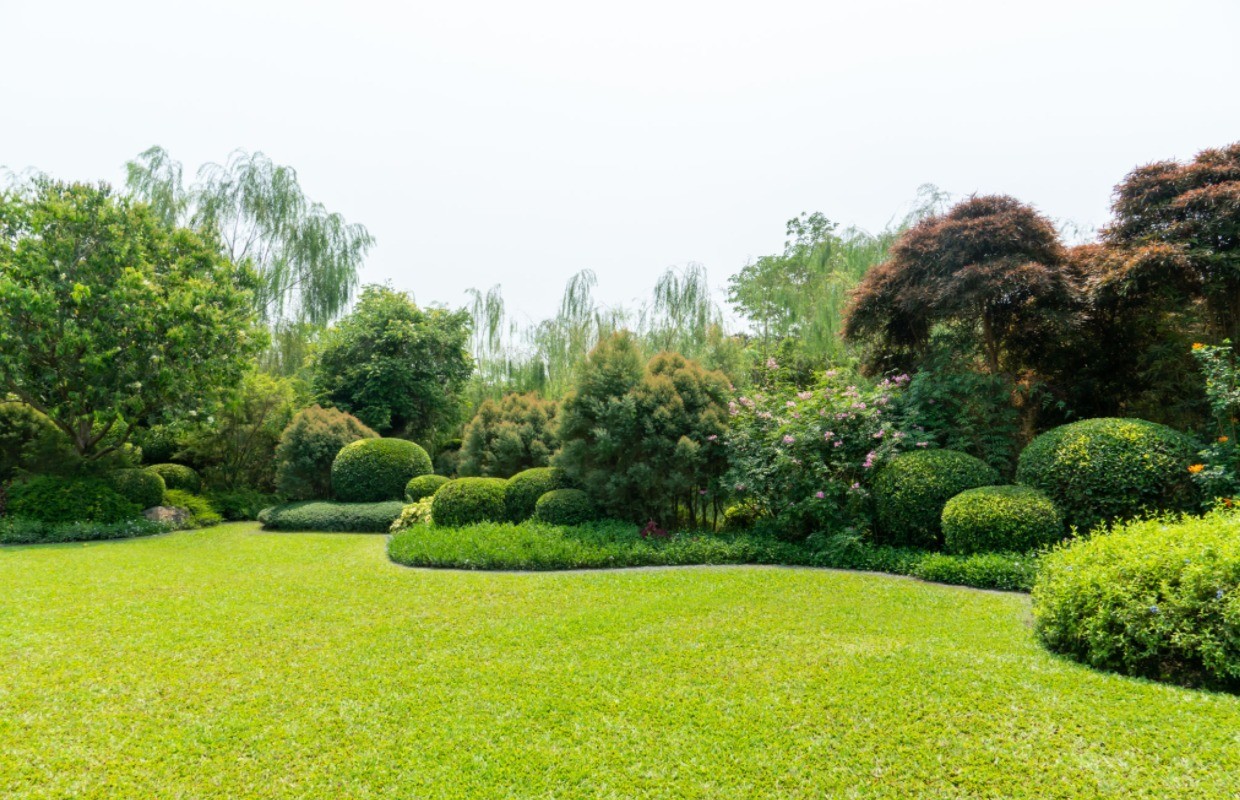 Plants integrated into landscape architecture