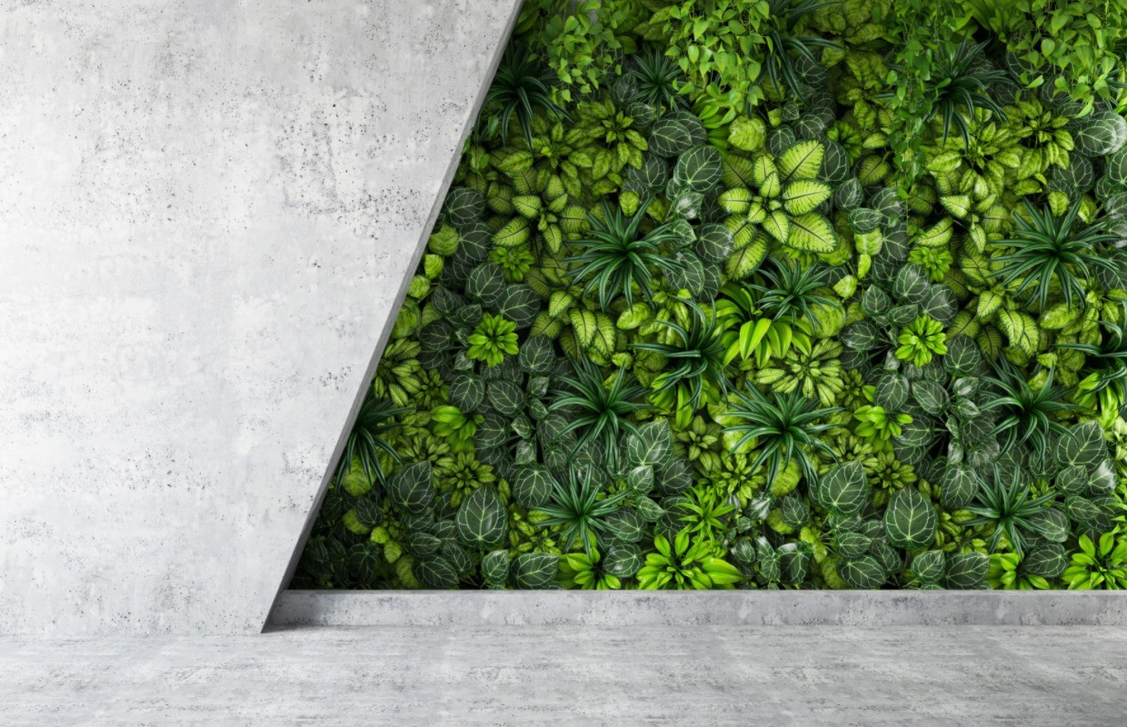 stylish concrete and plant retaining wall